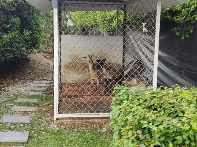 Fincas y Casas Campestres, Venta en El Cerrito