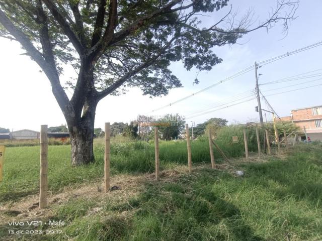 Lotes, Venta en Palmira