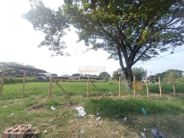 Lotes, Venta en Palmira