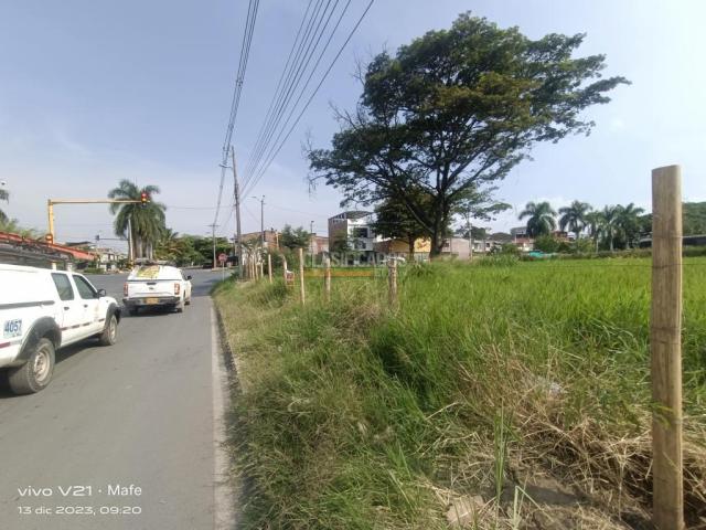 Lotes, Venta en Palmira