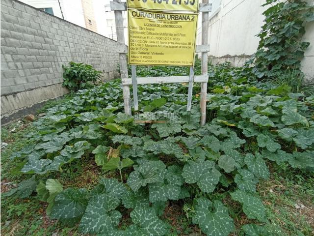 Lotes, Venta en La Flora