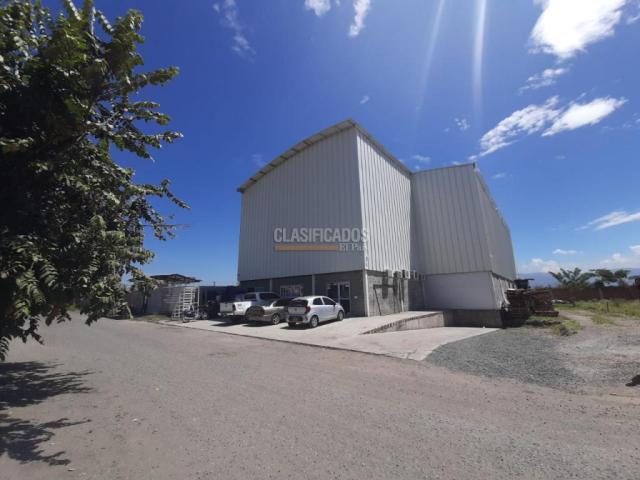 Locales y Bodegas, Venta en Palmira