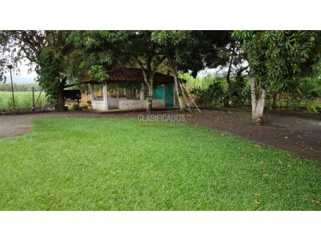 Fincas y Casas Campestres, Venta en Palmira