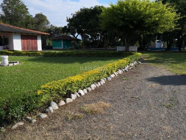 Fincas y Casas Campestres, Venta en Palmira