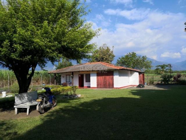 Fincas y Casas Campestres, Venta en Palmira