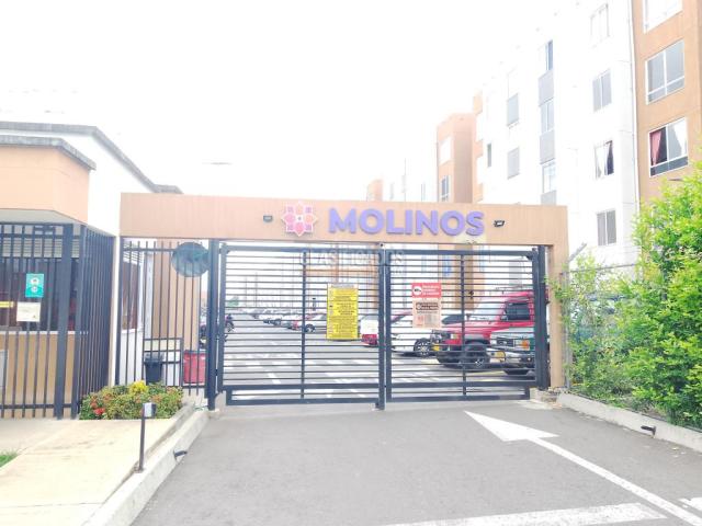 Apartamentos, Alquiler en Jamundí