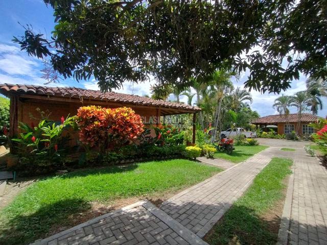 Casas, Venta en Palmira