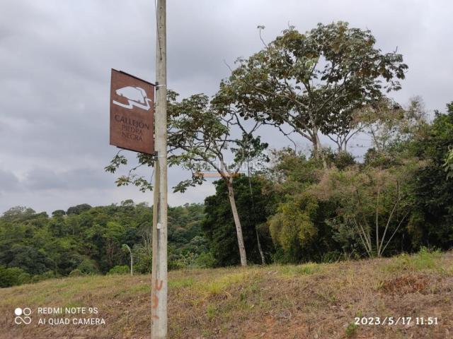 Lotes, Venta en Pance