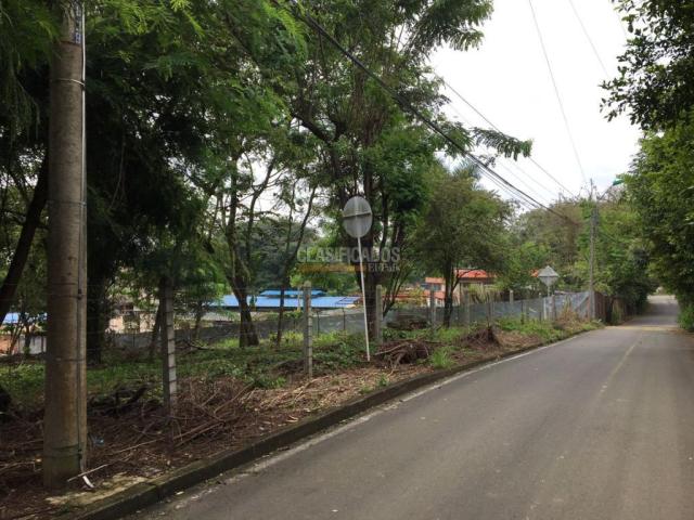 Lotes, Alquiler en Pance