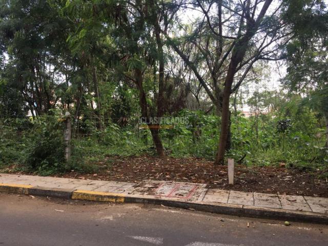 Lotes, Alquiler en Pance