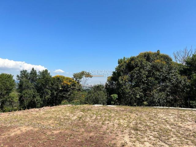 Lotes, Venta en Floridablanca