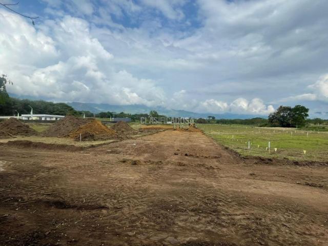 Lotes, Venta en Viterbo