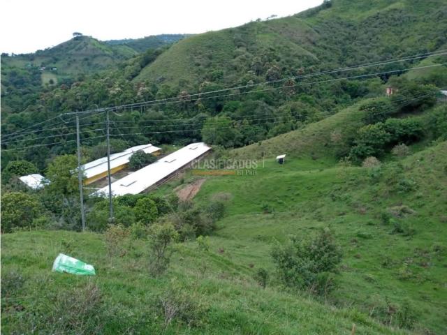 Fincas y Casas Campestres, Venta en Guacarí