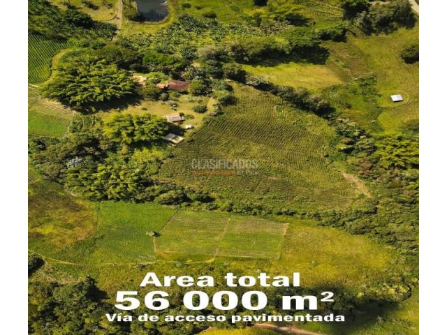 Lotes, Venta en Calima (Darién)