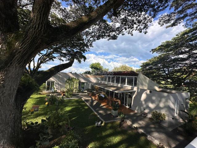 Casas, Venta en Palmira