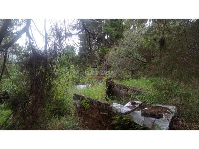 Lotes, Venta en Cascajal