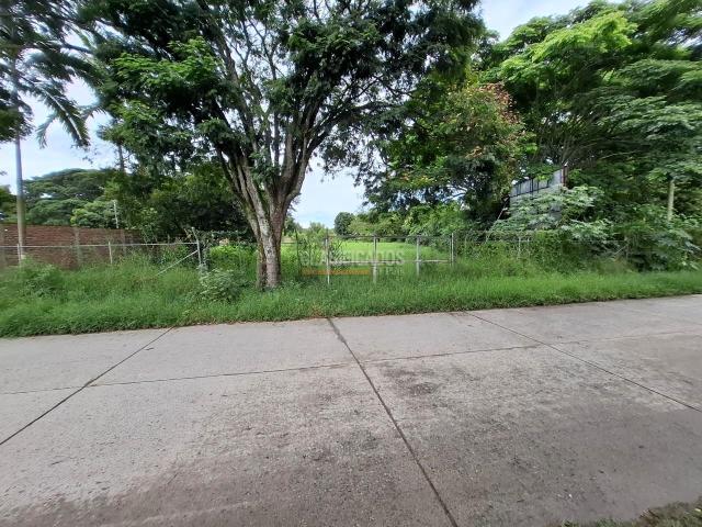 Lotes, Venta en Florida