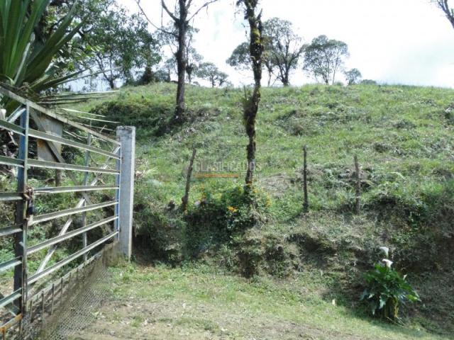 Lotes, Venta en Dagua