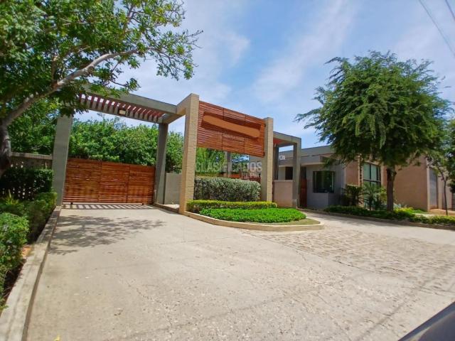 Apartaestudios, Alquiler en Tubara