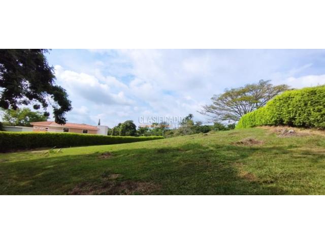 Lotes, Venta en Pance