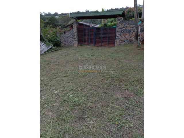 Lotes, Venta en Dapa