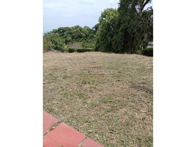 Lotes, Venta en Dapa