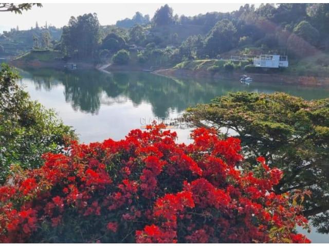Fincas y Casas Campestres, Venta en Calima (Darién)