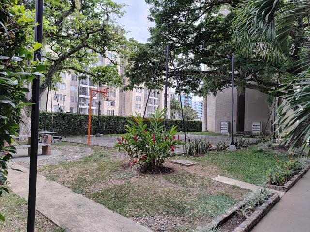 Apartamentos, Alquiler en La Bocha