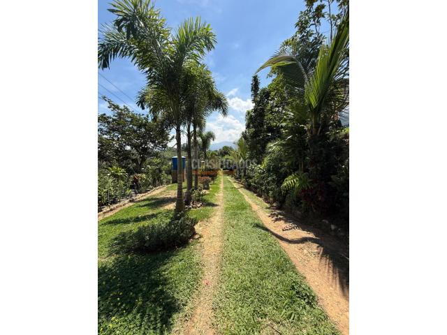 Casas, Venta en Floridablanca