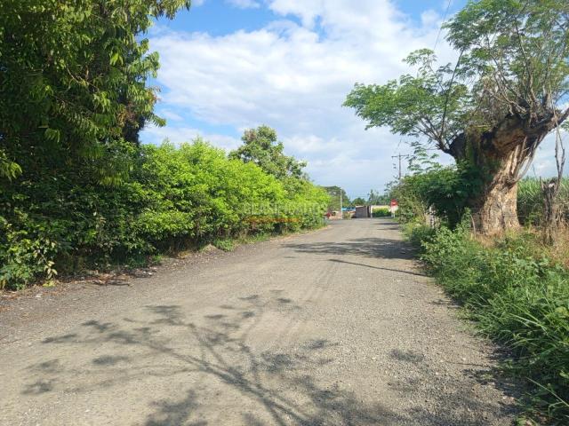 Fincas y Casas Campestres, Venta en Candelaria