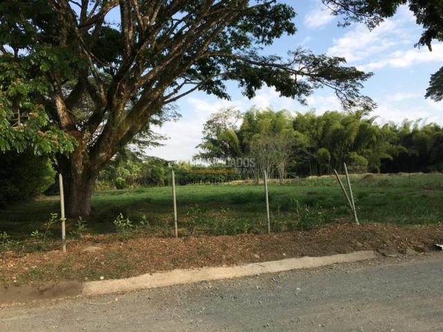 Lotes, Venta en Jamundí