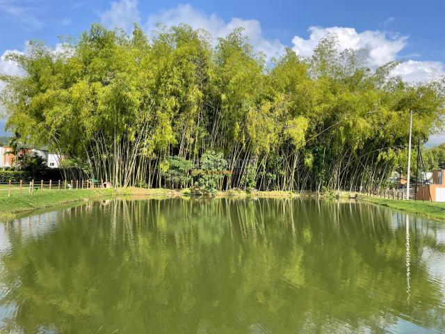 Casas, Venta en Guaduales de las Mercedes