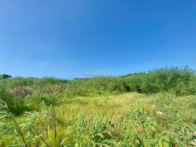 Lotes, Venta en Cartagena