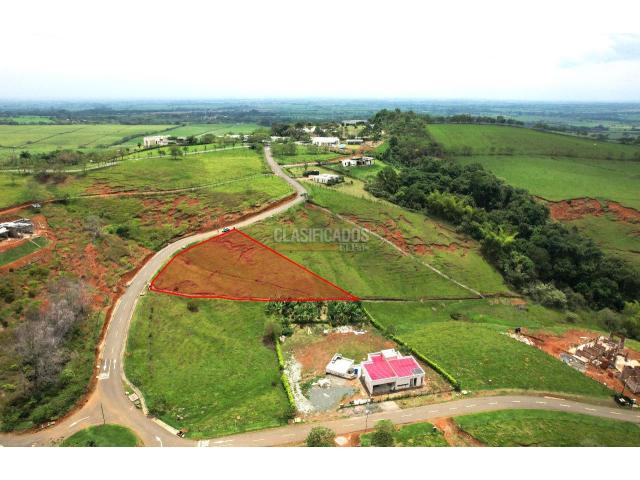 Lotes, Venta en Palmira