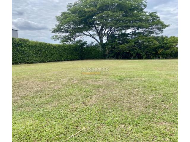 Lotes, Venta en Jamundí