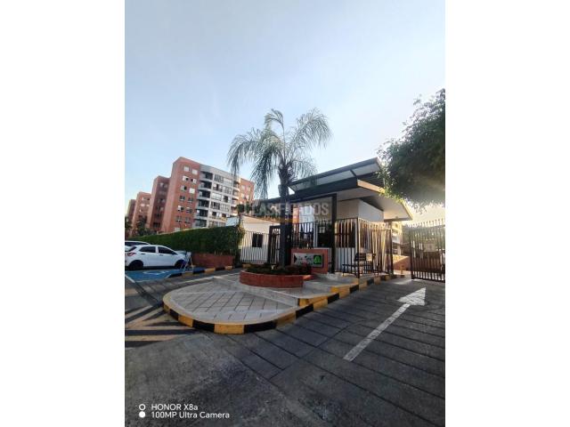 Apartamentos, Alquiler en Caney