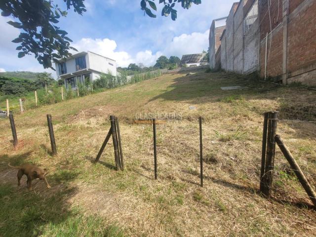 Lotes, Venta en La Buitrera