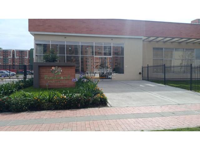 Apartamentos, Alquiler en Madrid