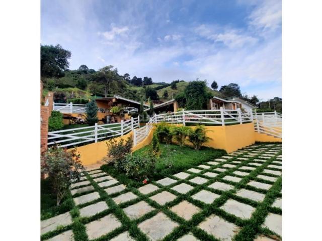 Fincas y Casas Campestres, Venta en Ed. Avenida Colombia