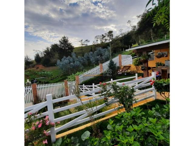 Fincas y Casas Campestres, Venta en Ed. Avenida Colombia