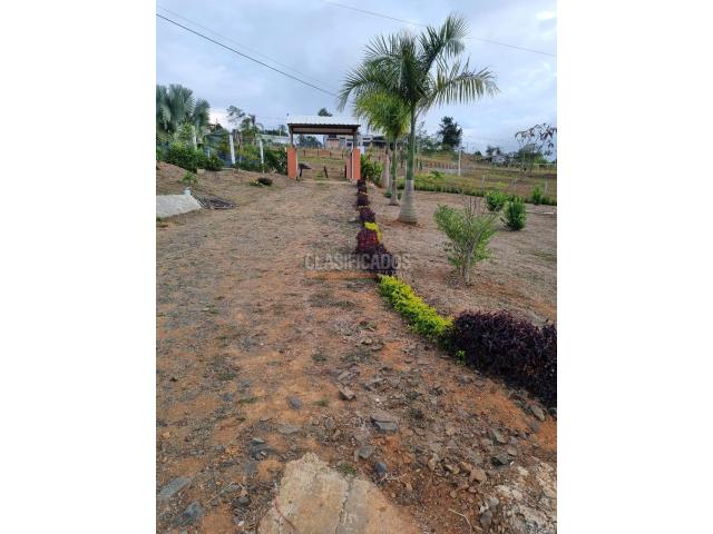 Fincas y Casas Campestres, Venta en Dagua