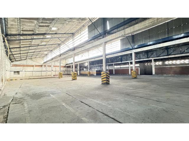 Locales y Bodegas, Alquiler en El Troncal