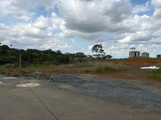 Lotes, Venta en Ciudad Jardín