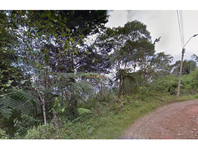 Lotes, Venta en La Elvira