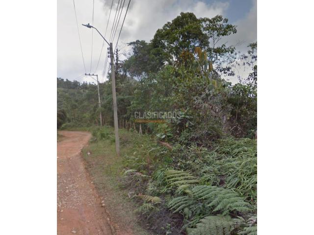 Lotes, Venta en La Elvira