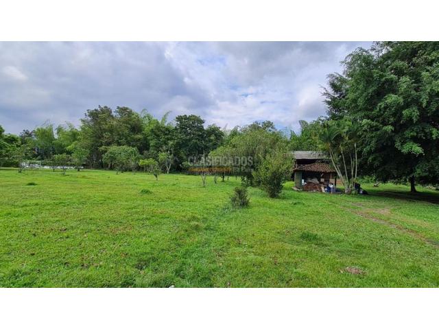 Lotes, Venta en Palmira