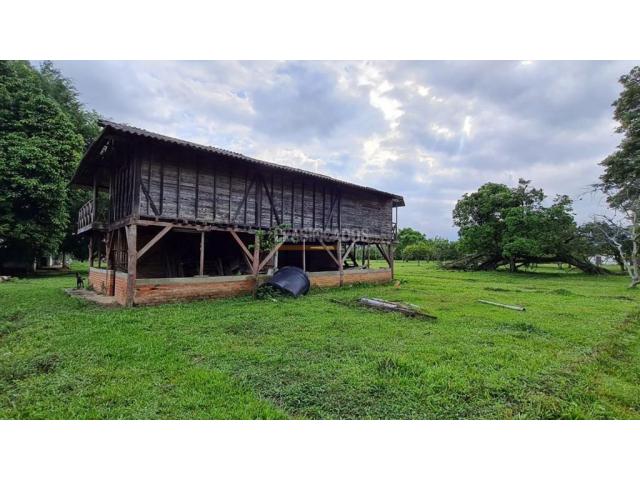 Lotes, Venta en Palmira