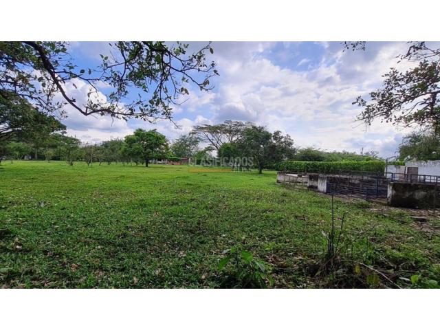 Lotes, Venta en Palmira