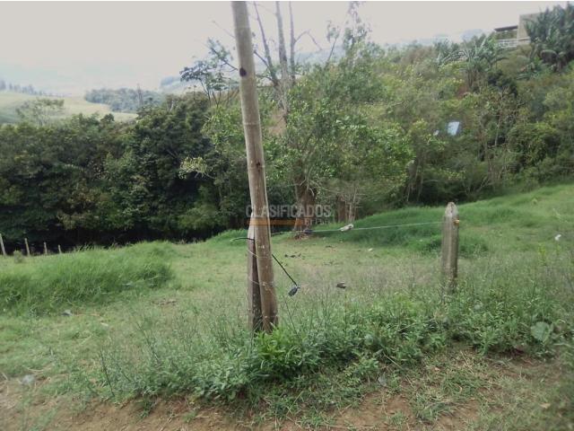 Lotes, Venta en Calima (Darién)