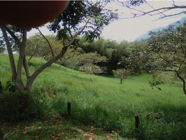 Lotes, Venta en Calima (Darién)